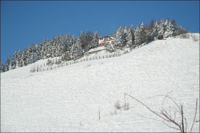 Monte Bolettone