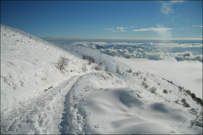Monte Bolettone
