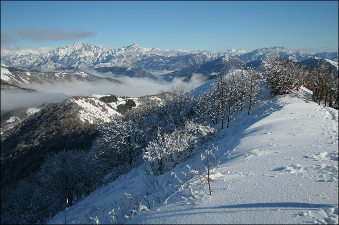 Monte Bolettone