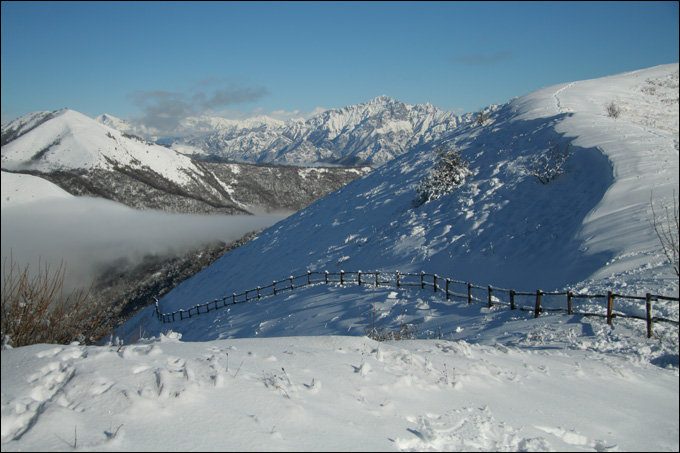 Monte Bolettone