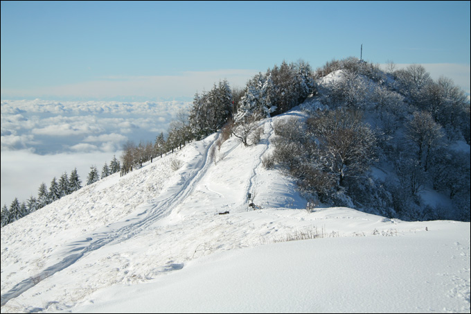Monte Bolettone