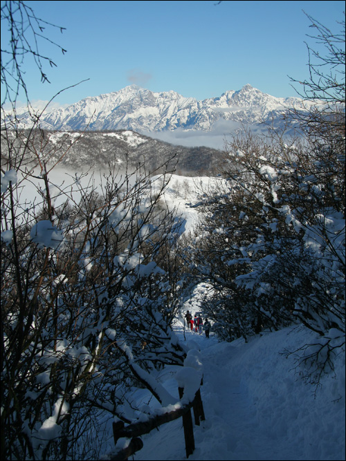 Monte Bolettone