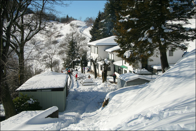 Monte Bolettone