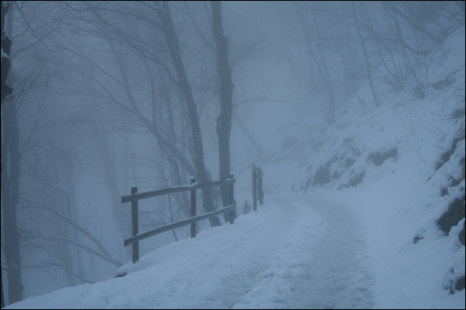 Monte Bolettone