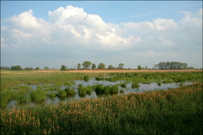 Piccolo reportage dal Neusiedler See