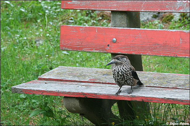 Val Roseg e Chamanna Tschierva [Bernina]