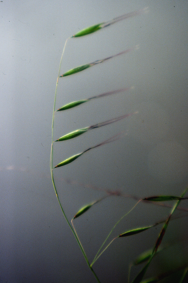 Il vento... una sfida per voi