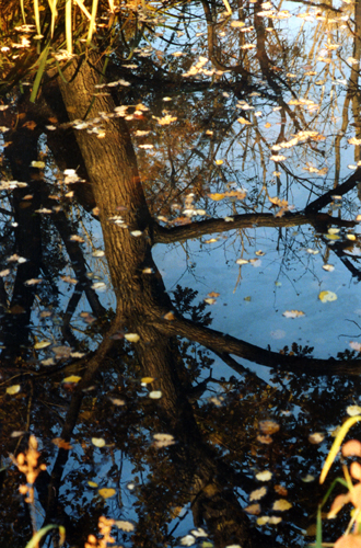 se voi foste il giudice...