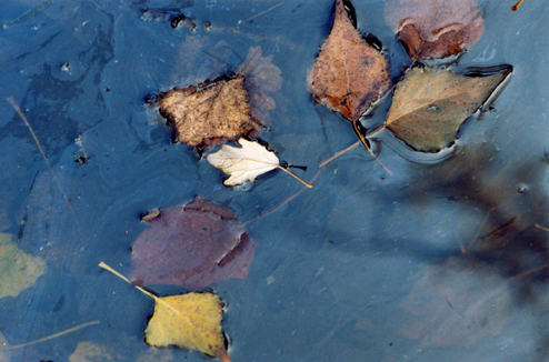 se voi foste il giudice...