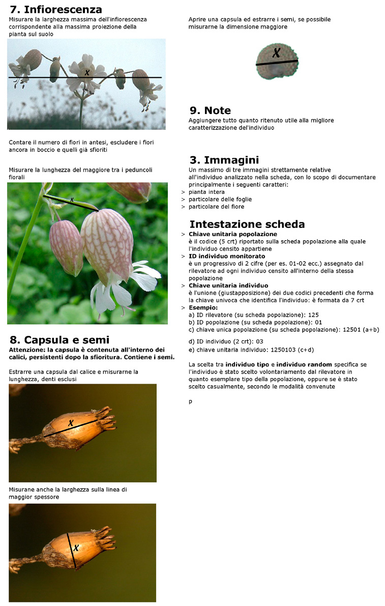 Vi propongo un''avventura...