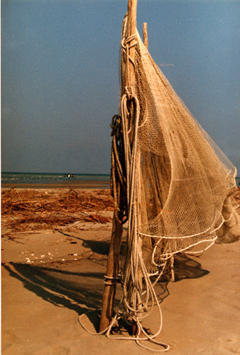 se voi foste il giudice...