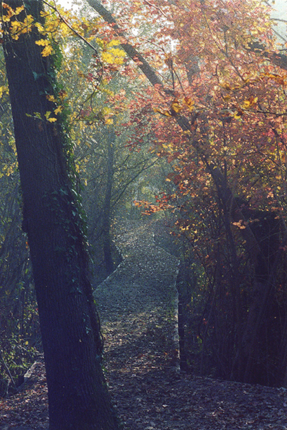 Autunno e ... filtri