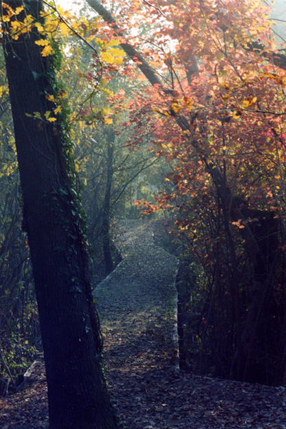 Autunno e ... filtri