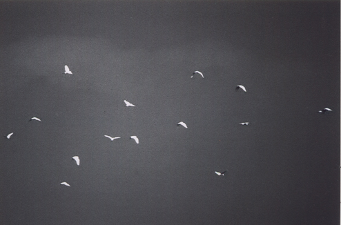 se voi foste il giudice...