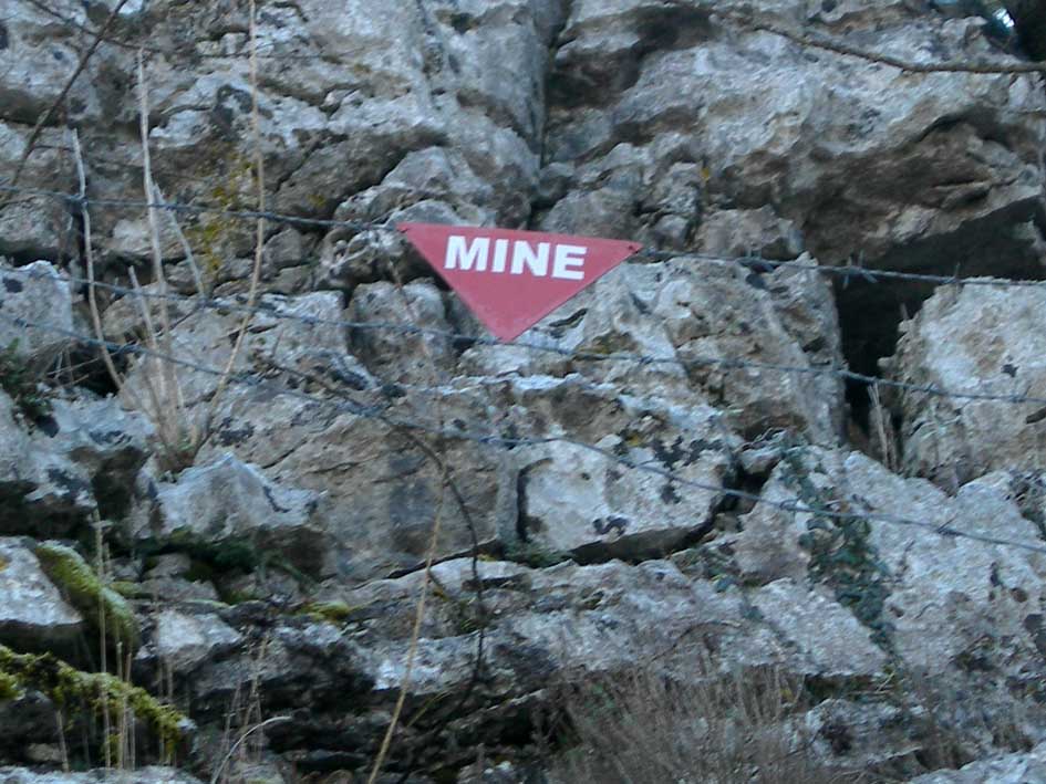 Dalmazia