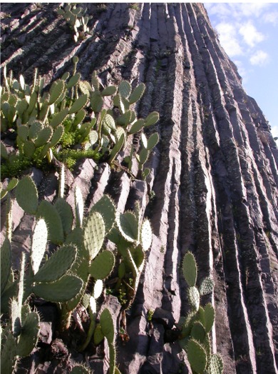 basalti colonnari