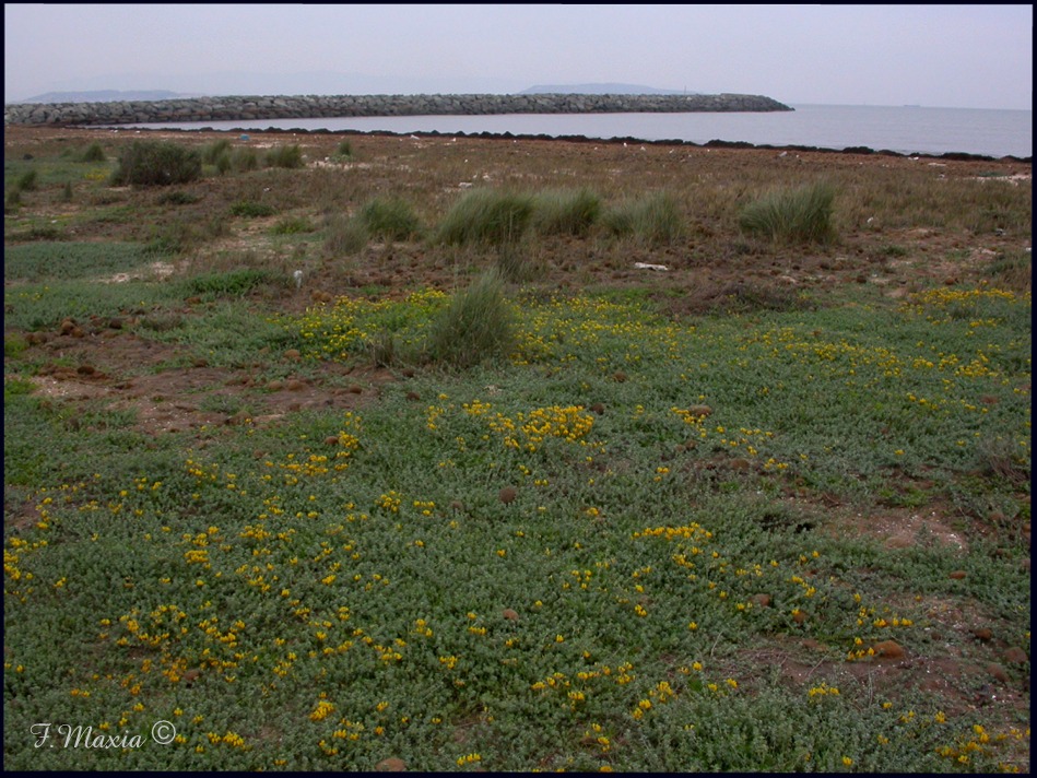 Litorale Golfo di Cagliari