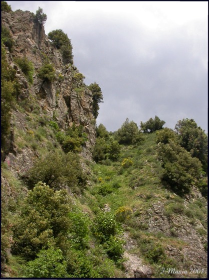 Gasteropodi ed ambiente dalla Sila Greca