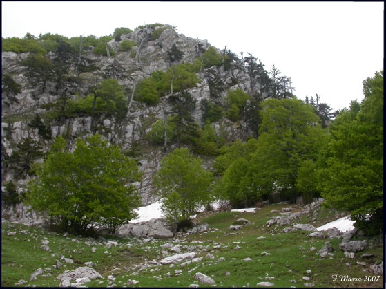 Oreina a 2000m, Pollino