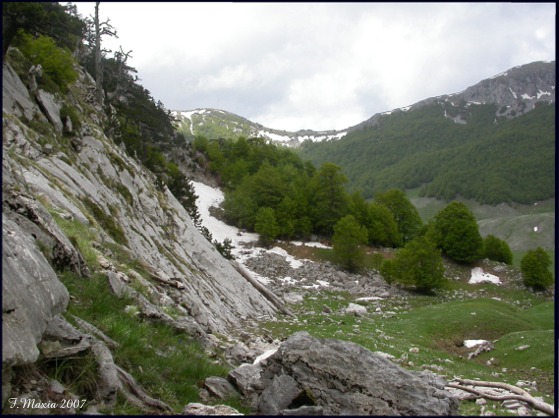 Gastropodi e Ambienti del Parco del Pollino