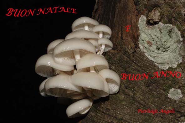 Per restare in tema....