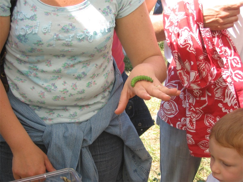 Giornata delle OASI WWF 2007