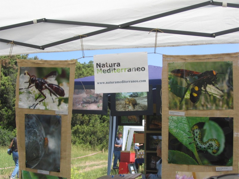 Giornata delle OASI WWF 2007