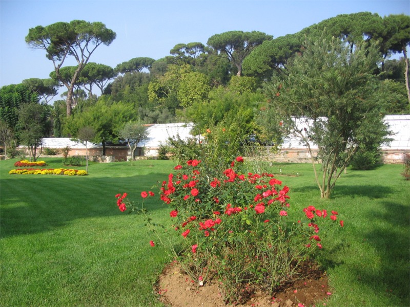 Mostra Micologica a Roma (28-30 Ottobre 2006)