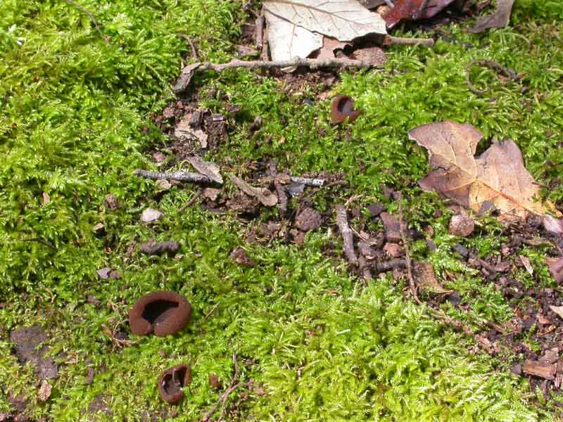 Senza precisa identit�