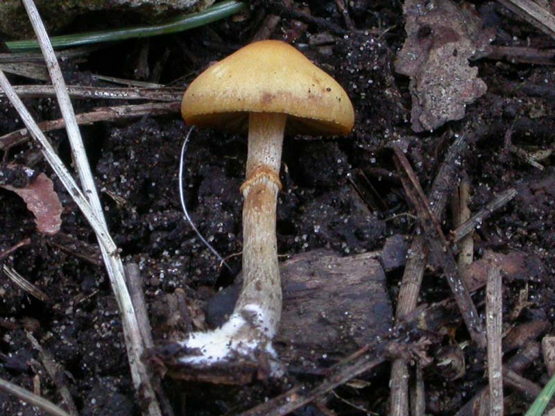 Senza precisa identit�