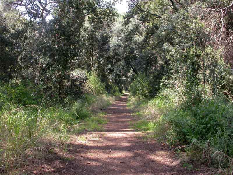 Senza precisa identit�