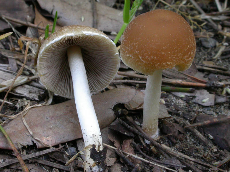 Senza precisa identit�