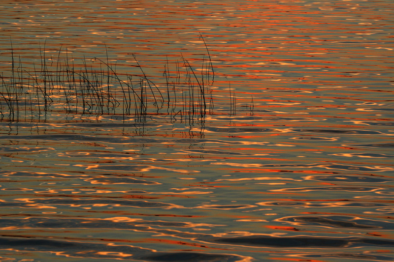La luce gioca con l''acqua