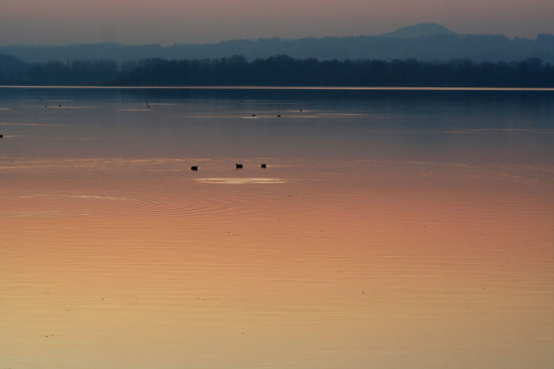 oggi al lago di Pusiano