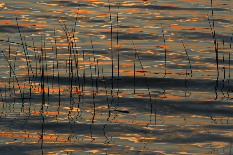 oggi al lago di Pusiano