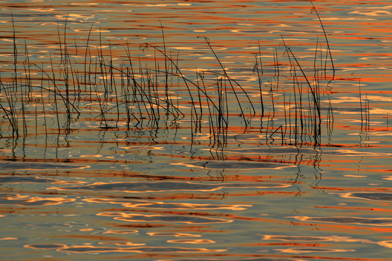 oggi al lago di Pusiano