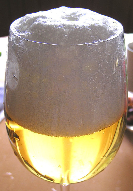 Humulus lupulus / Luppolo