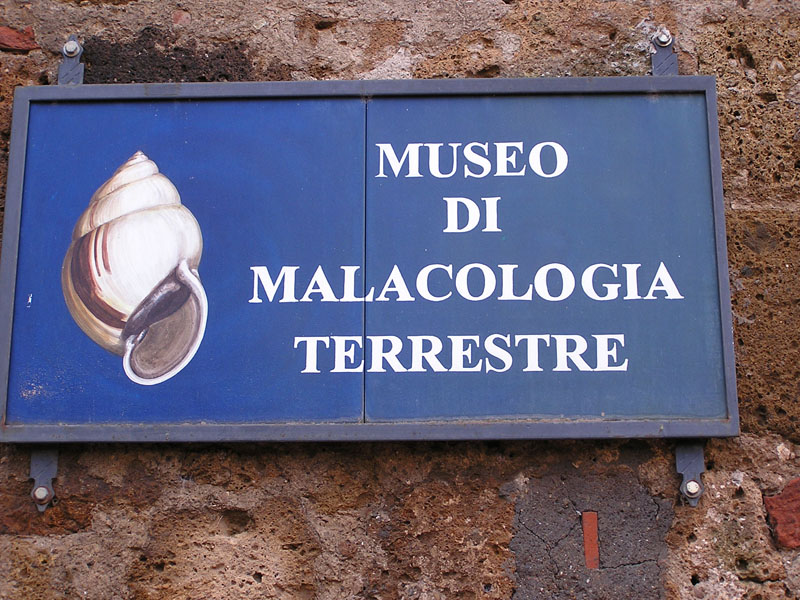 Museo di Malacologia a Sovana (GR) - chiuso!