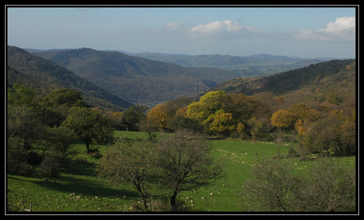 Le montagne intorno a Tolfa: Monte dell''Acqua Tosta