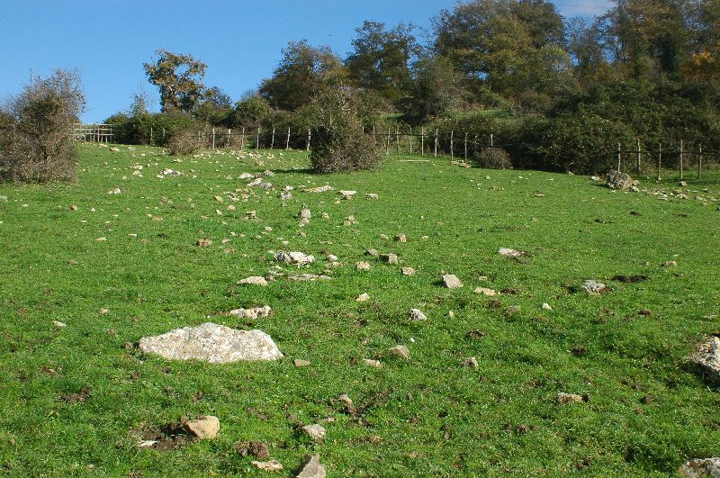Funghi sui Monti della Tolfa dietro Sasso