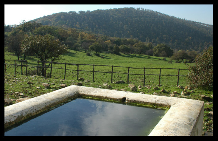 Le montagne intorno a Tolfa: Monte dell''Acqua Tosta
