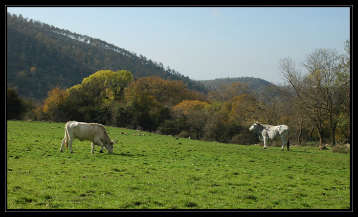 Le montagne intorno a Tolfa: Monte dell''Acqua Tosta