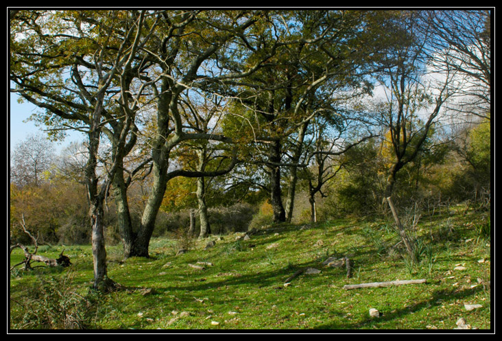 Le montagne intorno a Tolfa: Monte dell''Acqua Tosta