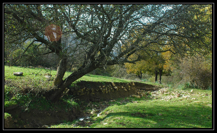 Le montagne intorno a Tolfa: Monte dell''Acqua Tosta