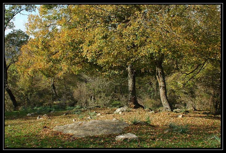 Le montagne intorno a Tolfa: Monte dell''Acqua Tosta