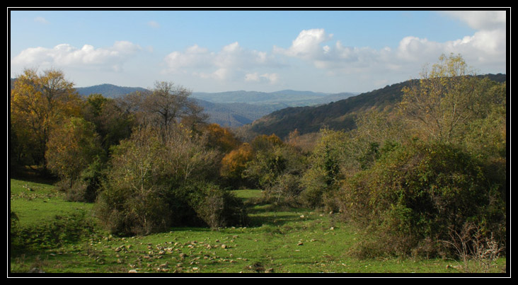 Le montagne intorno a Tolfa: Monte dell''Acqua Tosta