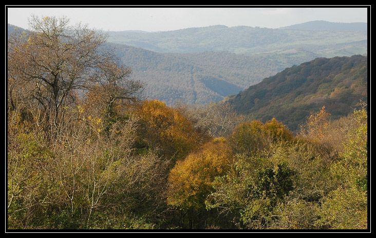 Le montagne intorno a Tolfa: Monte dell''Acqua Tosta