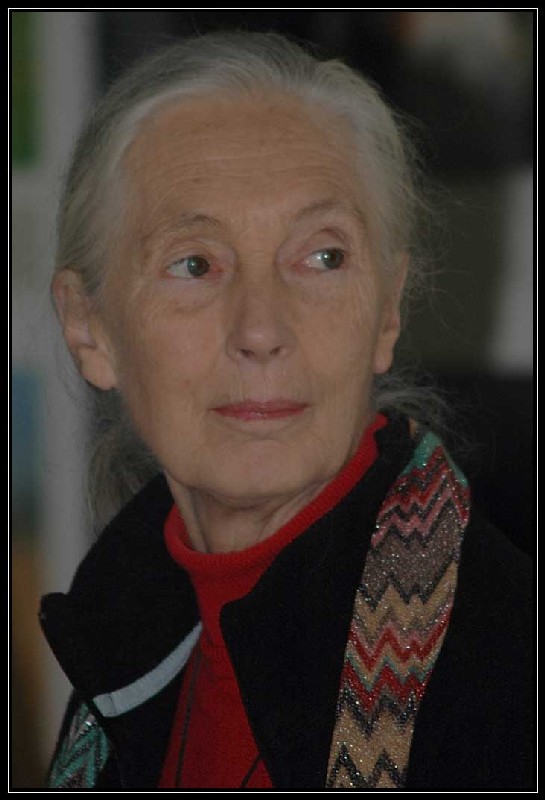 Jane Goodall a Roma