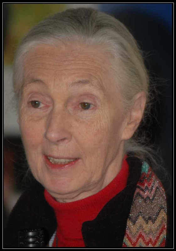 Jane Goodall a Roma