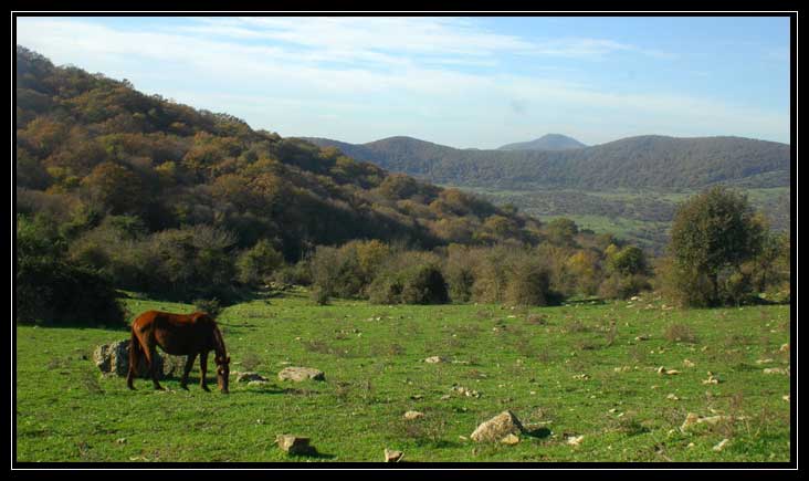 Le montagne intorno a Tolfa: Monte dell''Acqua Tosta
